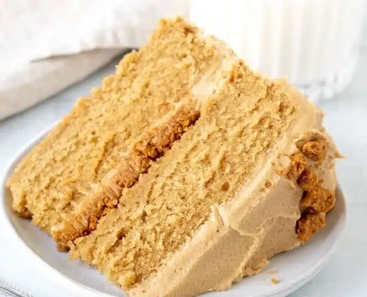 Delicious Biscoff Cake topped with creamy frosting and Biscoff crumbs