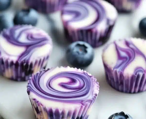 Blueberry Swirl Yogurt Bites