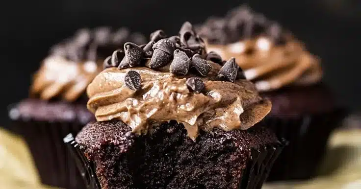 Chocolate Cupcakes