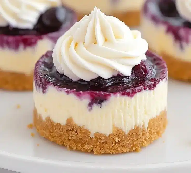 Healthy Mini Lemon Blueberry Cheesecakes