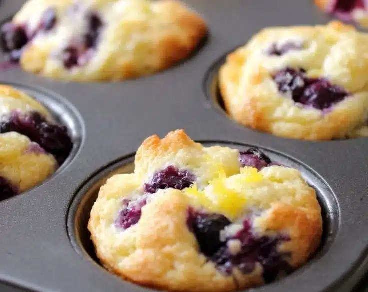 Lemon Blueberry Protein Bites