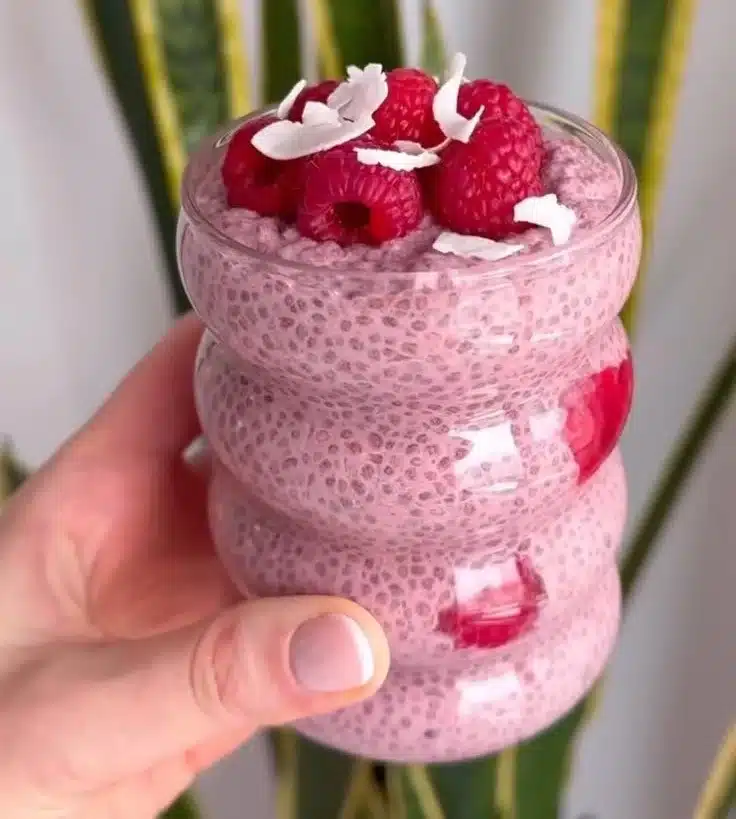 Raspberry Chia Pudding