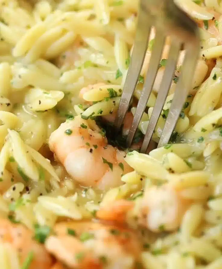 Garlic Butter Prawn Orzo