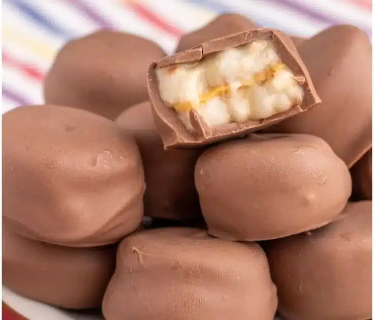 Chocolate Banana Peanut Butter Bites
